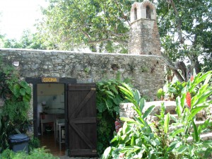 Part of the old coffee plantation at Las Terrasas