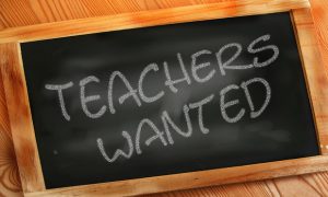"Um, I'll pass... I want to earn more money than a teacher!"