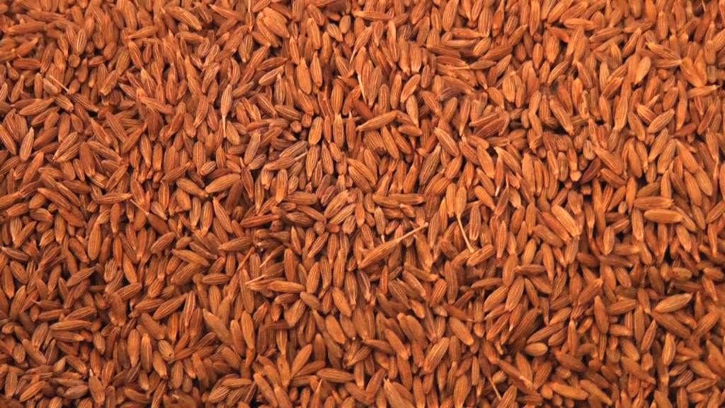 Gryffon Ridge Spice Merchants