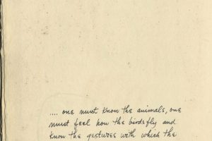 For the Sake of a Single Verse 26