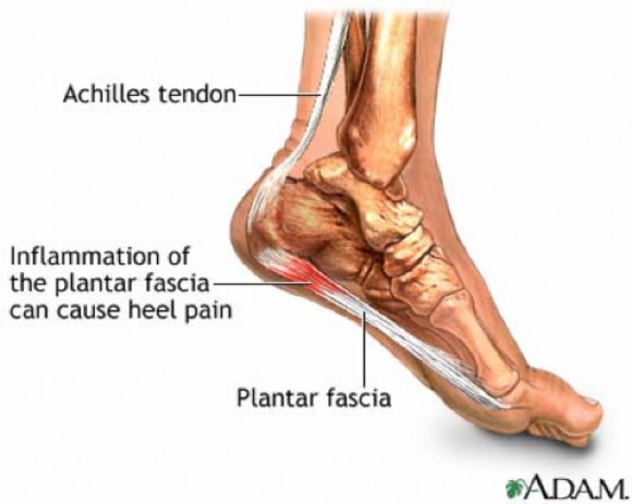 foot