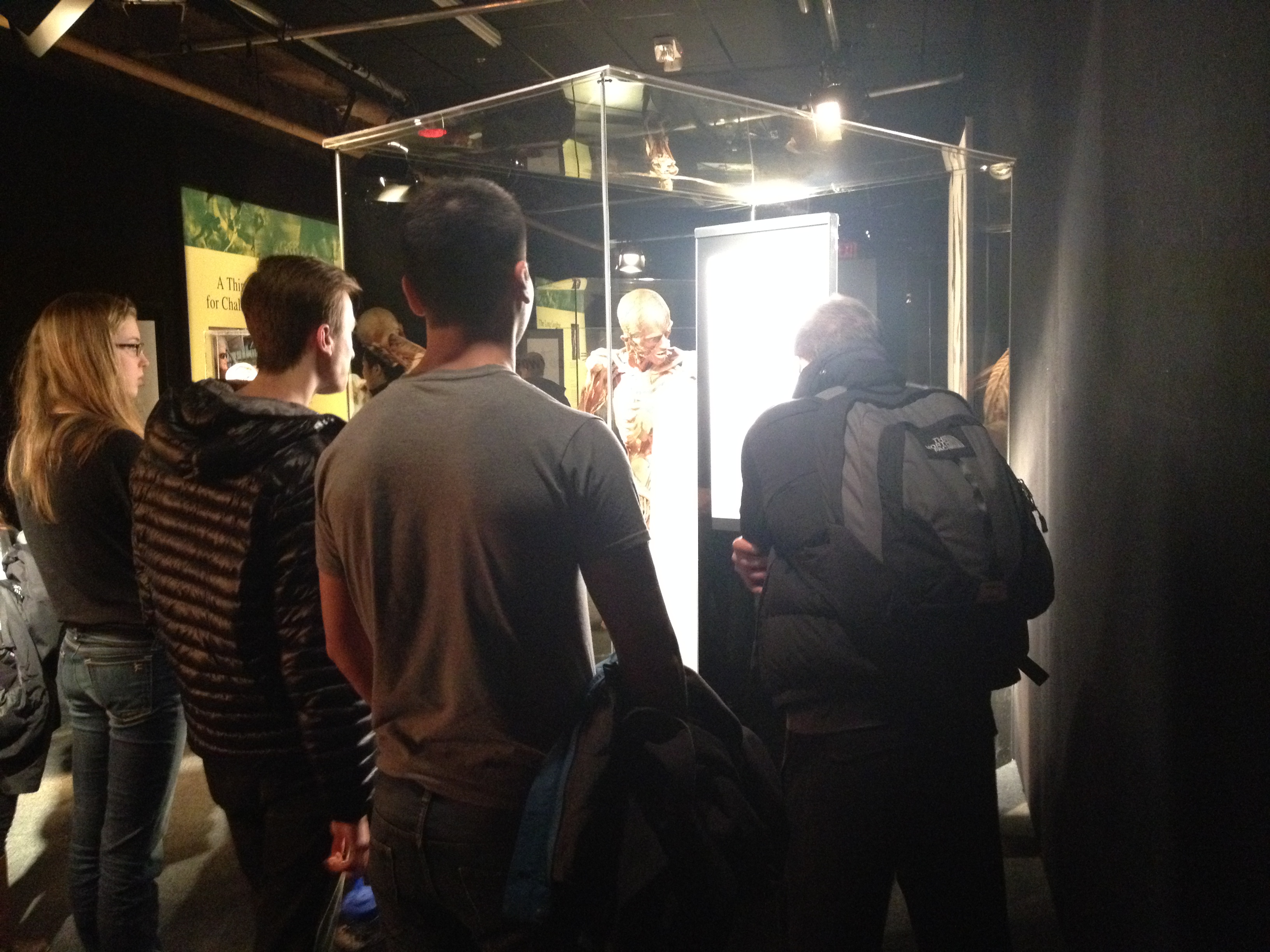 Body Worlds