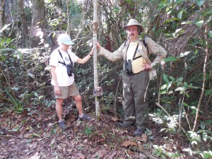 In search of the elusive jaguar