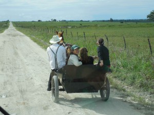 Buggy antics with the Mennonites