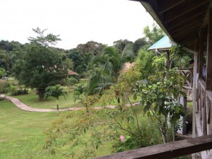 The view from our dorm at La Milpa. Photo by Lidia Henderson.