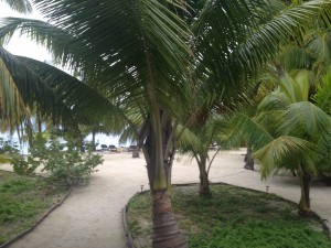 After a day of travel, the extraordinary views of South Water Caye were extremely appreciated.  