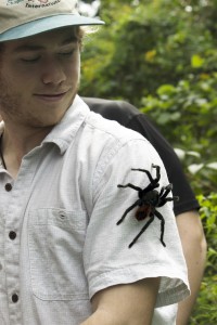 The Mexican red-rumped tarantula checks out Cam's sleeve.