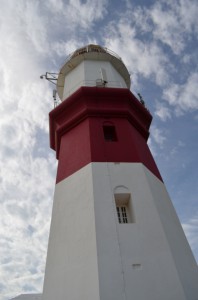 DSC_0027