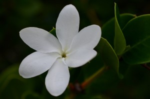 DSC_1057