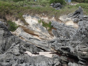 Southampton Formation at Church Bay