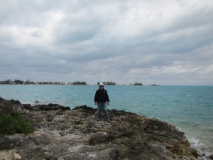 Fossil boiler reef exposed on Boaz Island