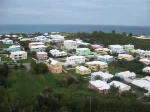 IMG_0810