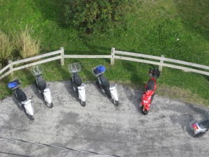 IMG_0811