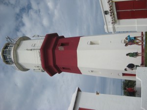 IMG_0817