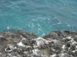 IMG_0829