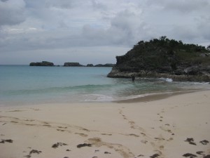 IMG_0834