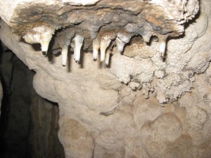 IMG_0943