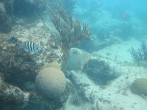 IMG_1033