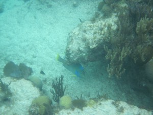 IMG_1038