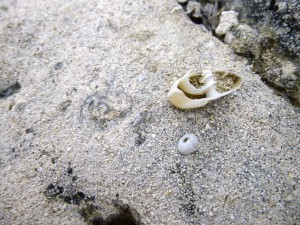 P1010649