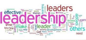 Positive Youth Development Values 