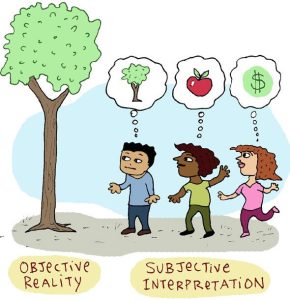 objective reality vs subjective interpretation