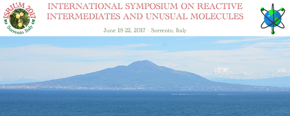 International Symposium on Reactive Intermediates and Unusual Molecules