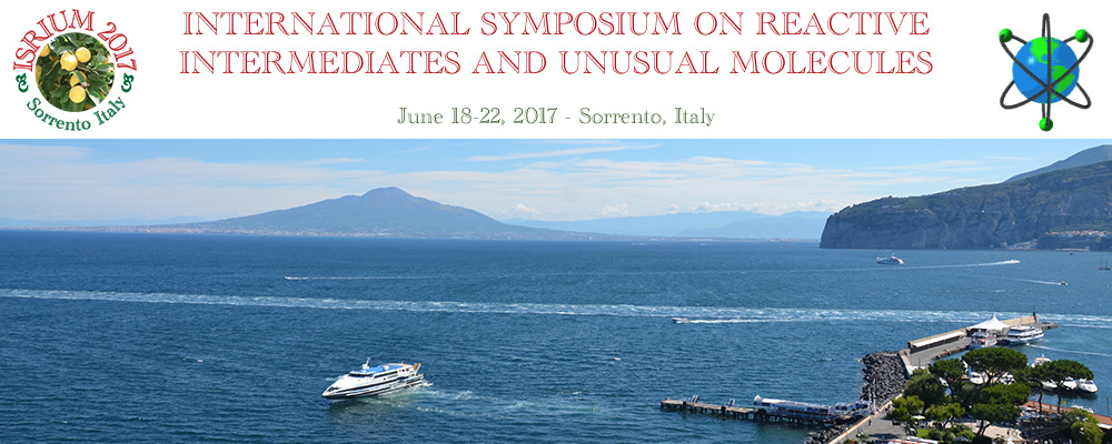 International Symposium on Reactive Intermediates and Unusual Molecules