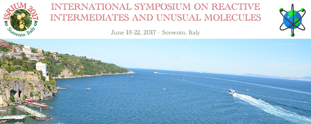 International Symposium on Reactive Intermediates and Unusual Molecules