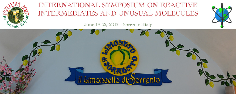 International Symposium on Reactive Intermediates and Unusual Molecules