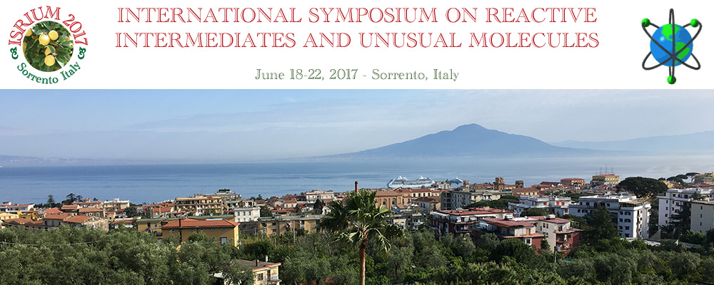 International Symposium on Reactive Intermediates and Unusual Molecules