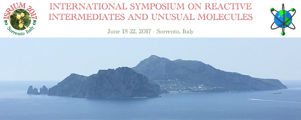 International Symposium on Reactive Intermediates and Unusual Molecules