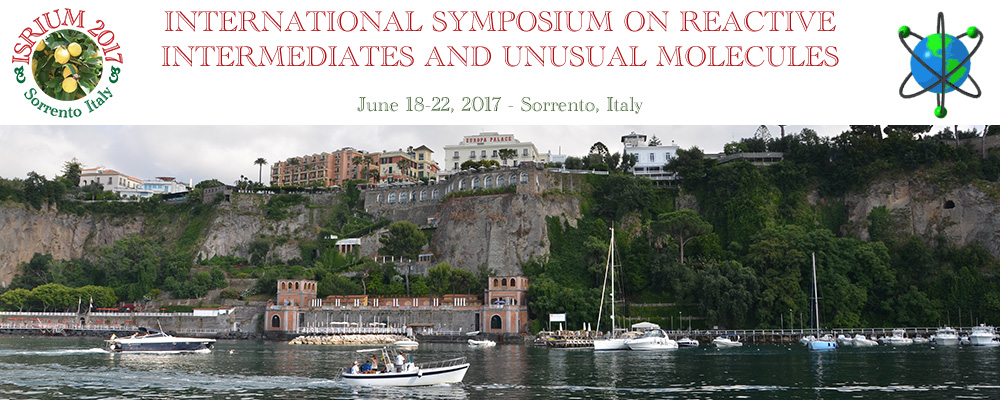 International Symposium on Reactive Intermediates and Unusual Molecules