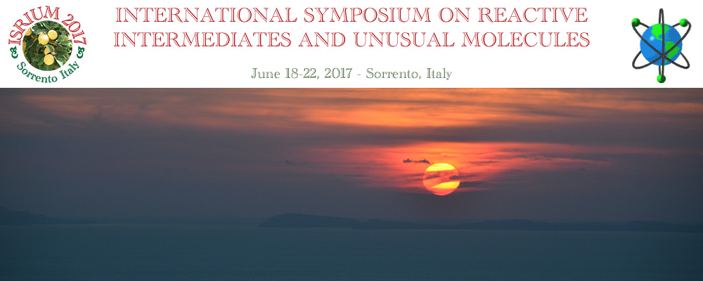 International Symposium on Reactive Intermediates and Unusual Molecules