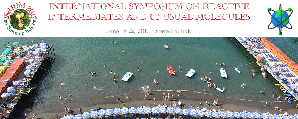 International Symposium on Reactive Intermediates and Unusual Molecules