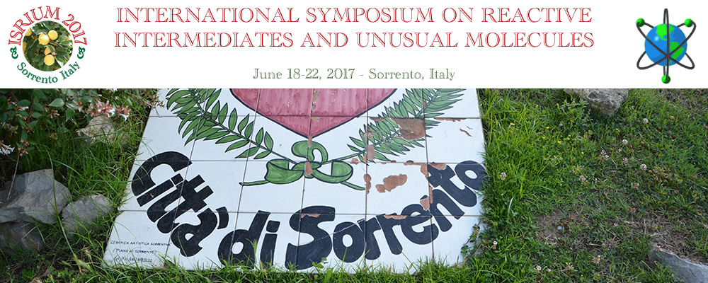 International Symposium on Reactive Intermediates and Unusual Molecules