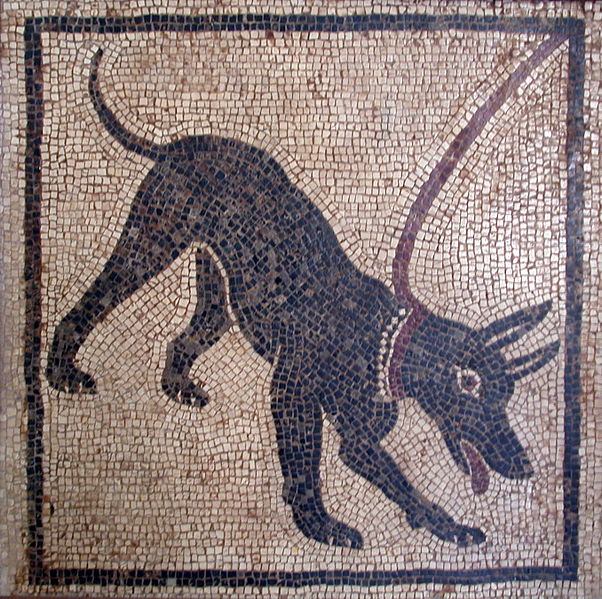 Dog Mosaic Pompeii
