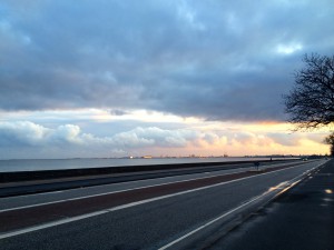 IMG_2860