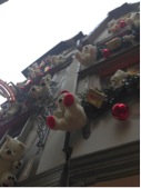guest blog 3