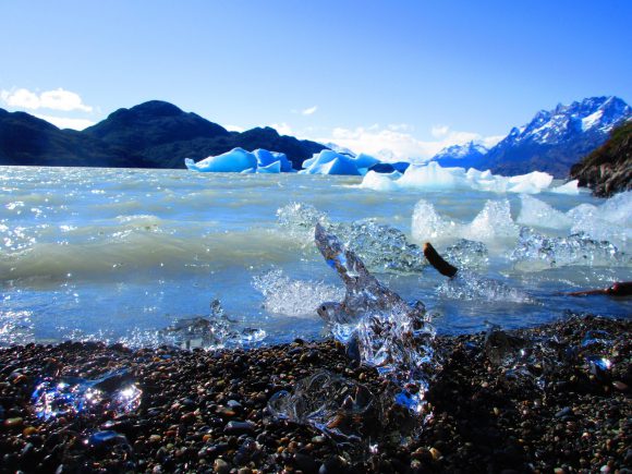 Glacier Ice in Patagonia: While backpacking through Torres del Paine, the famed national park of the Chilean Patagonia, local employees of the park taught us all about glaciers, including how the beautiful blue color of the ice is caused by the slow removal of oxygen during the melting and refreezing of ice blocks. They also gave me my first real world lesson of climate change, describing how the Patagonian glaciers (including the one in the picture) are receding by over a hundred feet every year. Its amazing what you can learn from strangers. (Patagonia, Chile) submitted by Craig Ballard '17 