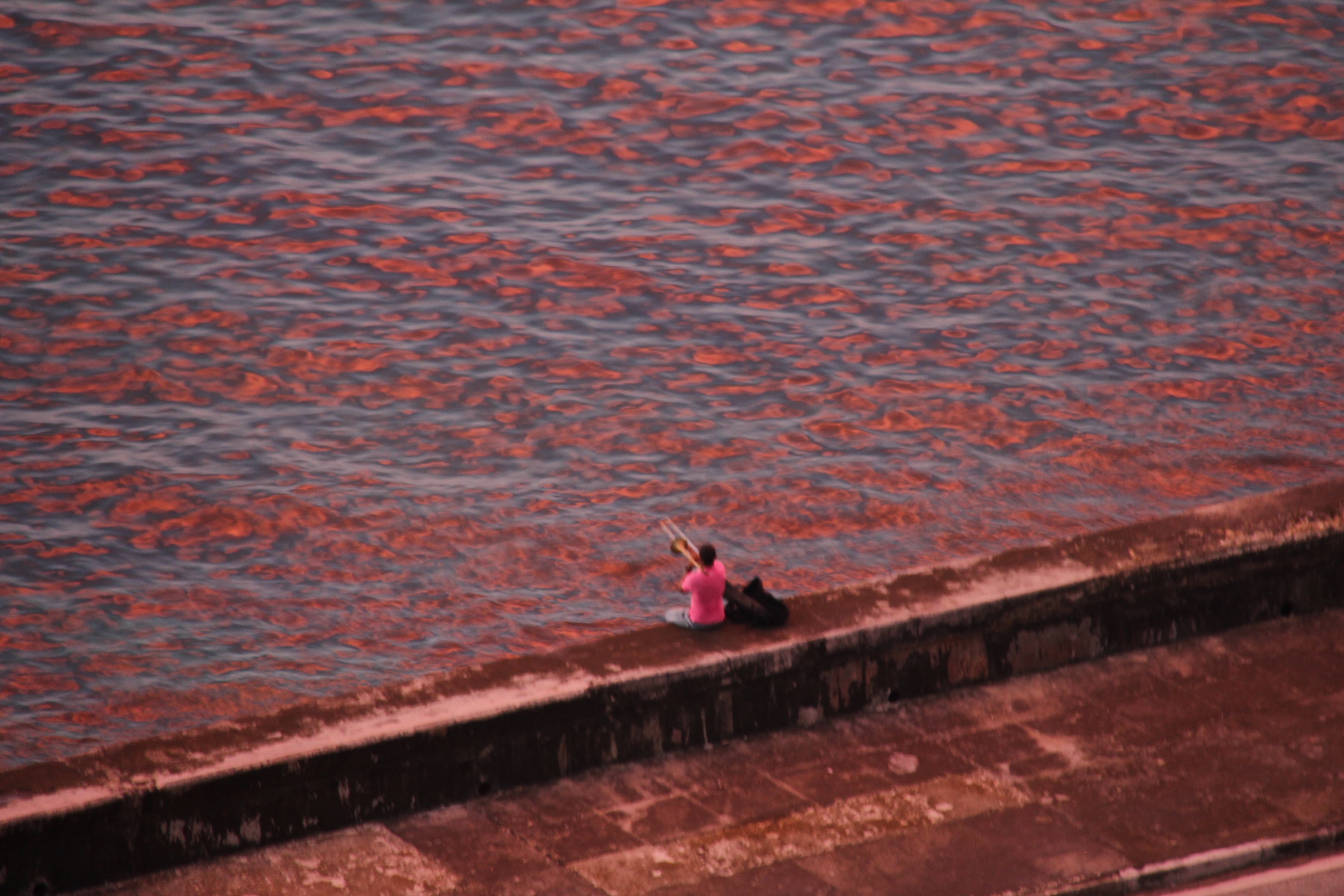 Powers_Carey_2014_Cuba